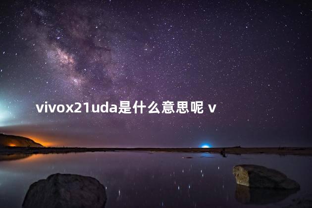 vivox21uda是什么意思呢 vivox21uda多少钱